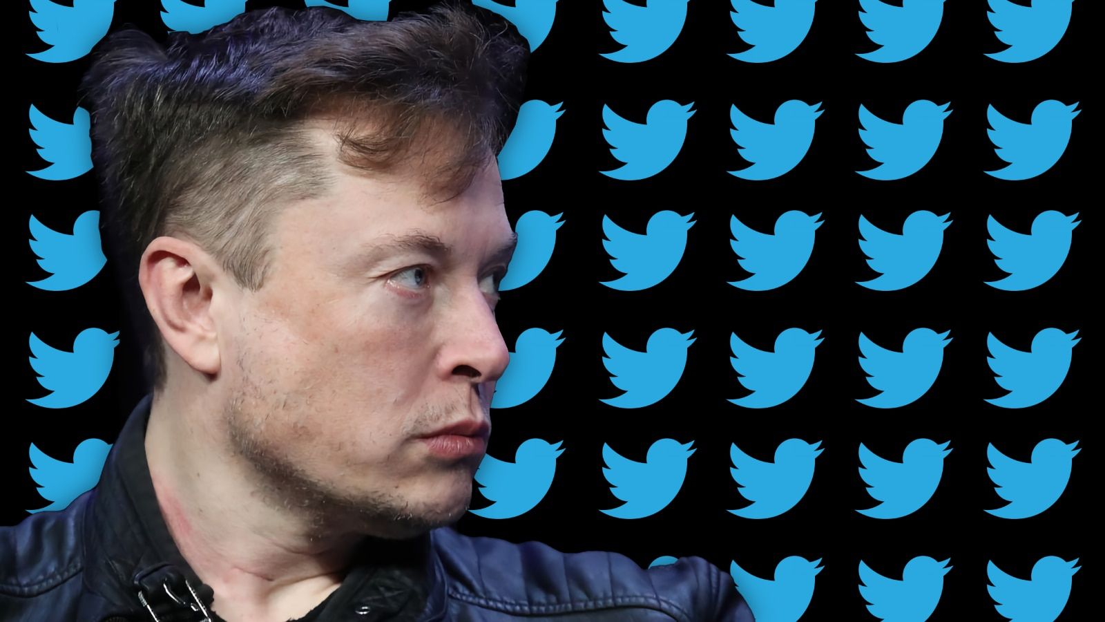 elon musk twitter logos elon musk twitter logos