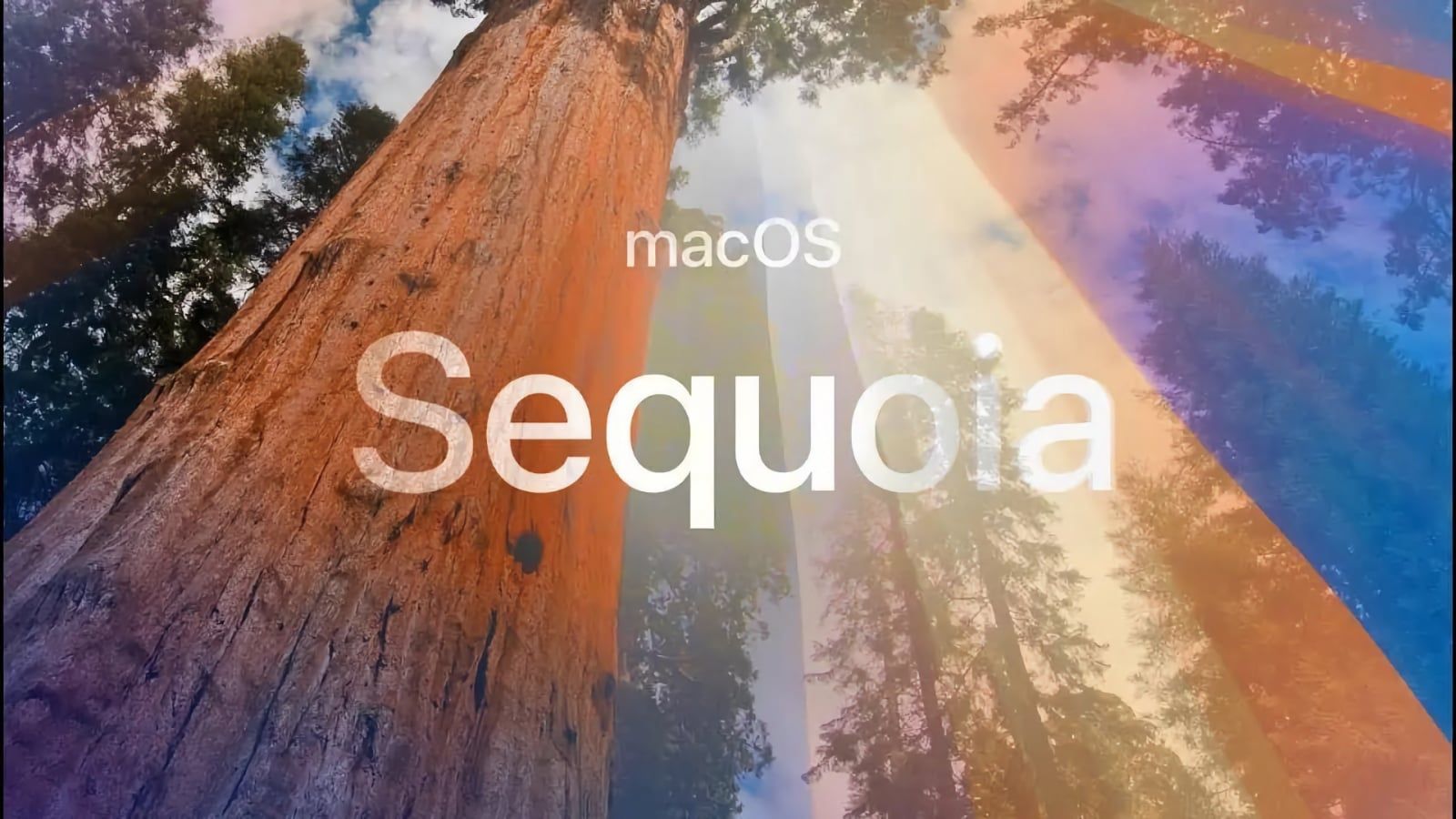 macos sequoia macos sequoia